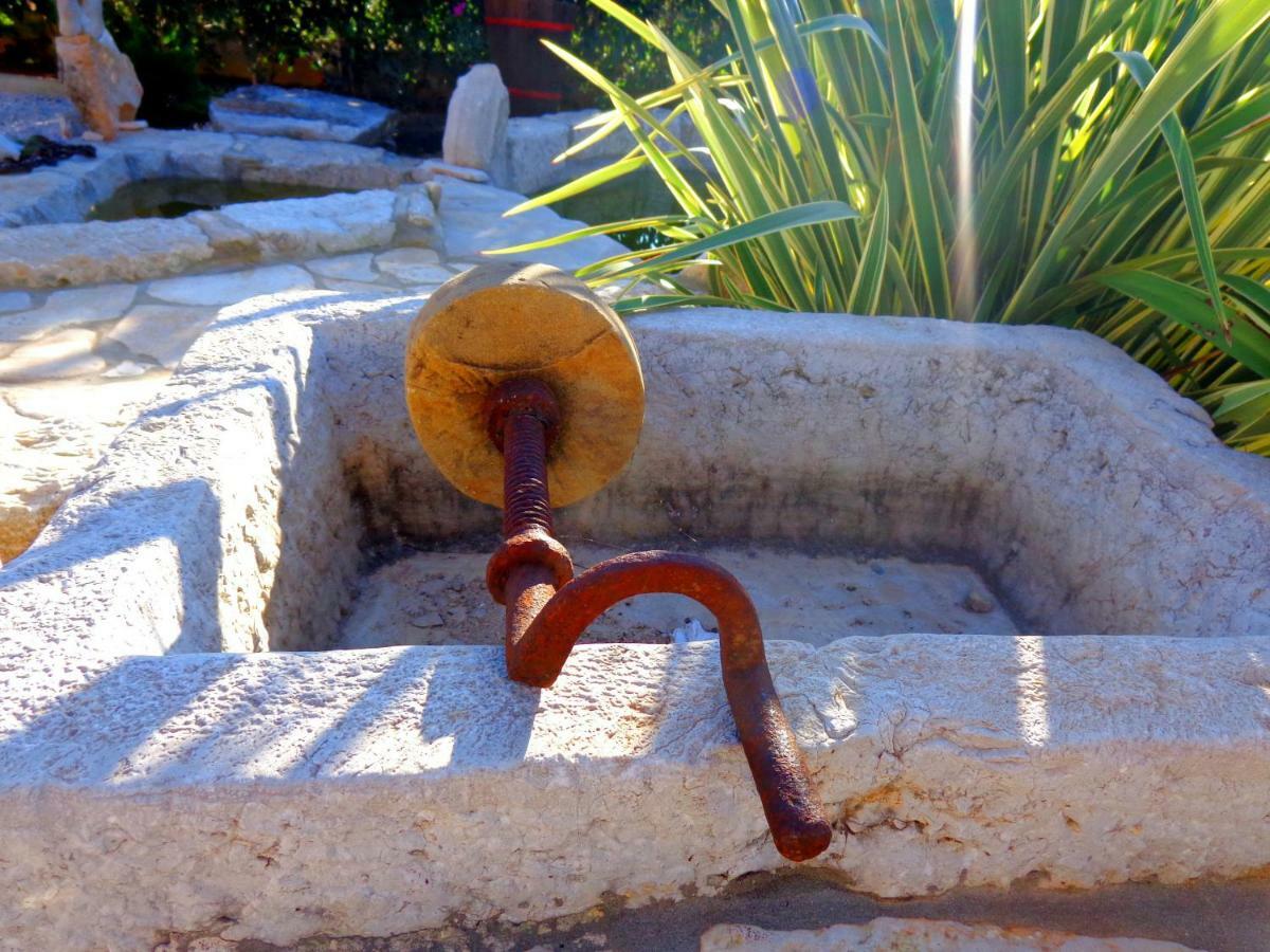 Villa Alma Kaštelir المظهر الخارجي الصورة